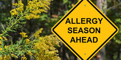 7 Natural Ways to Treat Seasonal Allergy Symptoms